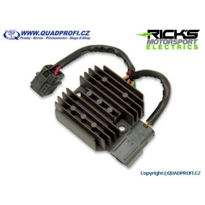 Rectifier Ricks 250W 10-701