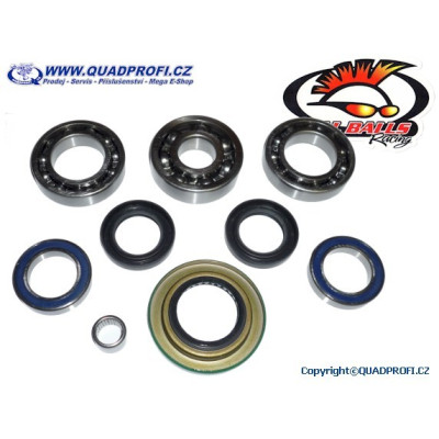 Differential Bearing and Seal Kit - 25-2068