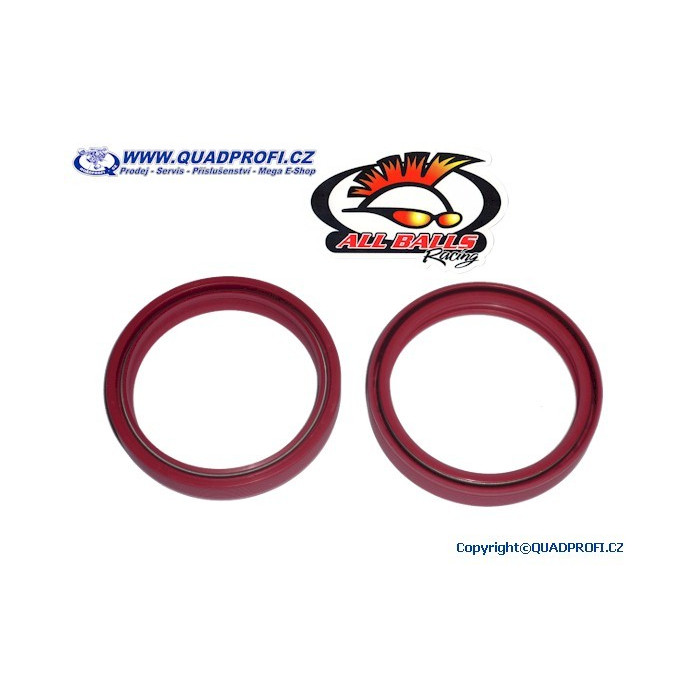 Fork Seal Kit - 55-131