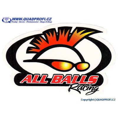 ON-LINE Katalog All Balls Racing - Winderosa - Parts