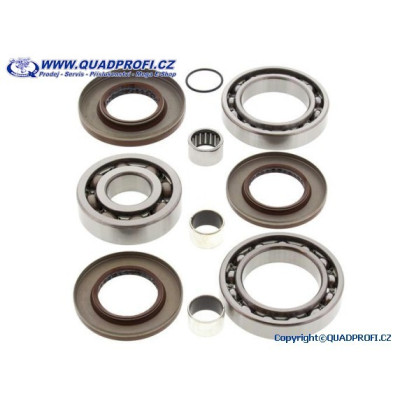 Differential Bearing and Seal Kit - 25-2080