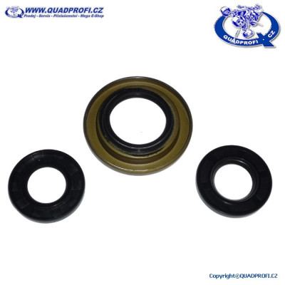 Differential Seal Kit QPP - 25-2069-5